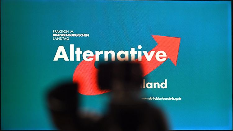 In Brandenburg wird am 1. September gewählt - deshalb wirbt die AfD um Stimmen.