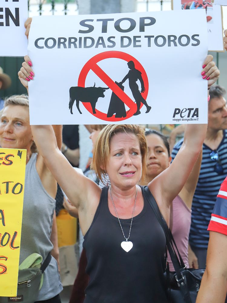 Vor der Arena protestierten Tierschützer gegen das Spektakel, dessen Höhepunkt das Töten von Bullen darstellt.