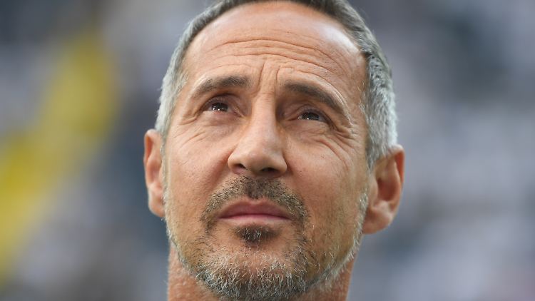 Mögliche Gedankenspiele von SGE-Coach Hütter: Erst einmal in die Gruppenphase der Europa League, dann dort den Titel und ab in die Champions League und dann Deutscher Meister mit der Eintracht?
