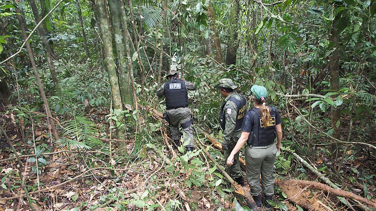 Die Umweltpolizei in Brasilien hat es auf illegale Holzhändler abgesehen. Das Bild dürfte bald der Vergangenheit angehören, denn Brasiliens Präsident Bolsonaro lockert die Umweltschutzrichtlinien.