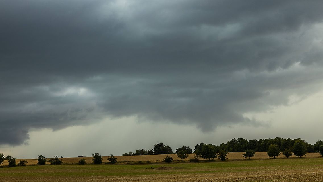 imago92734404h (1).jpg