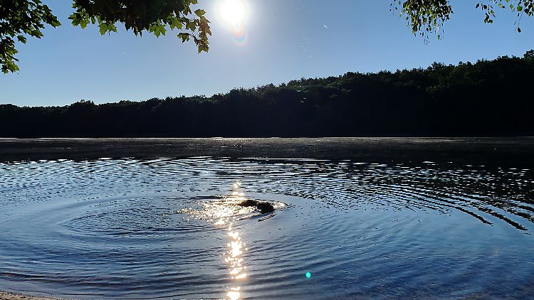 Zum Wochenende soll es nochmal sommerlich hohe Temperaturen geben.