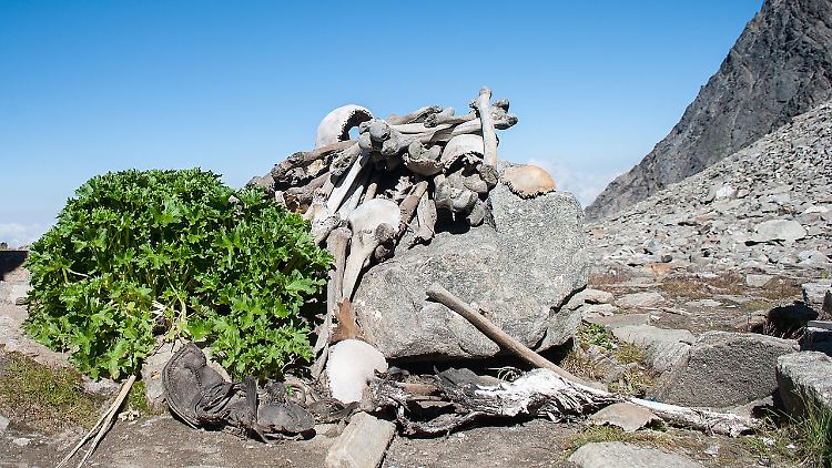 Rund um den See sind zahlreiche Skelett-Teile verteilt.