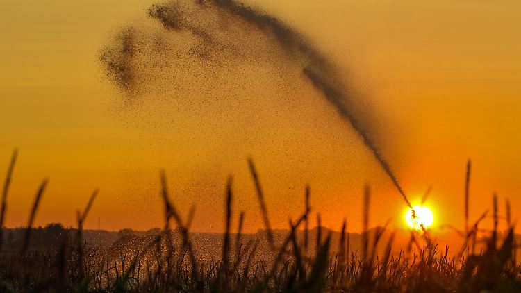 Ein weiteres Mal könnten die Temperaturen über die 30-Grad-Marke klettern. 