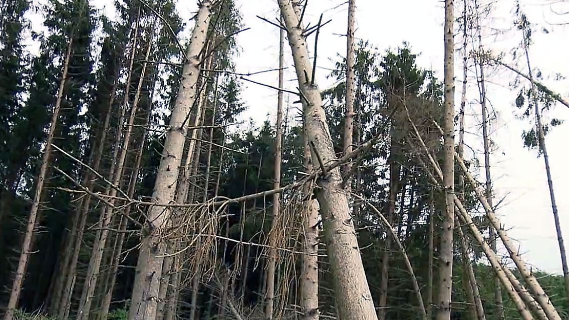 Unbenannt-1.jpg