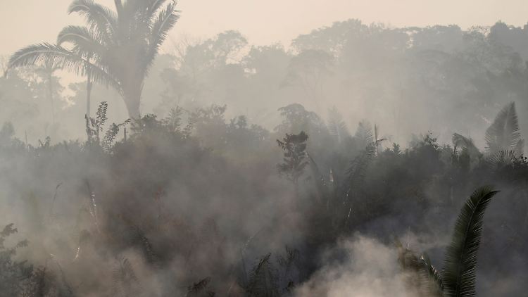 Im laufenden Jahr gab es in Brasiliens Amazonasregion fast doppelt so viele Waldbrände wie im Vorjahreszeitraum.