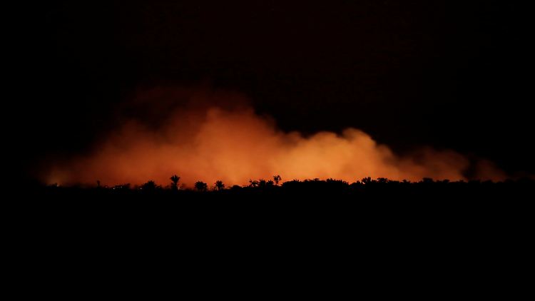 Eines von vielen Feuern im Bundesstaat Brasilia.