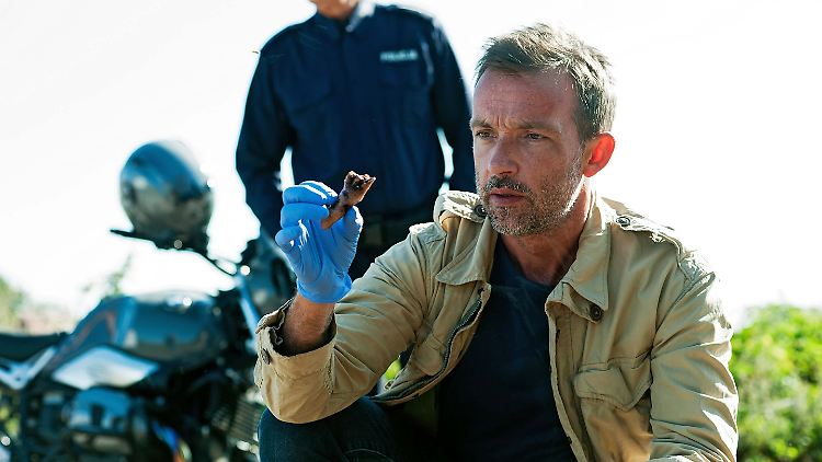 Hat einen Finger gefunden: Kommissar Raczek (Lucas Gregorowicz)