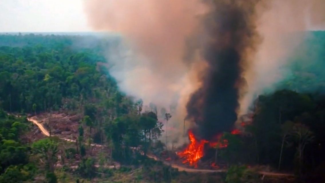 Amazonas steht in Flammen.jpg