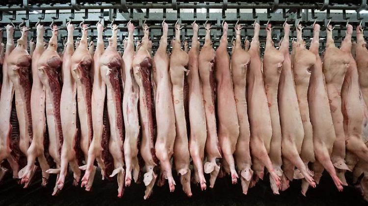 Die Schweinefleischproduktion verringerte sich in Deutschland um 2,6 Prozent.