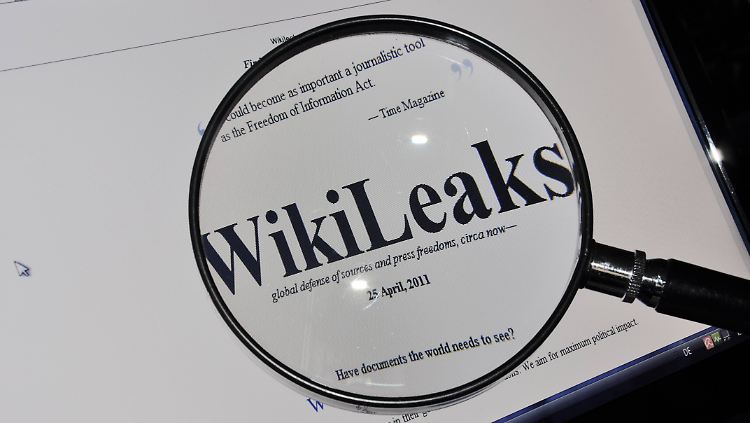 In Online-Netzwerken gibt es viele Theorien zum Verbleib von Kamphuis. Auch ein Untertauchen des Wikileaks-Mitarbeiters wird nicht ausgeschlossen.