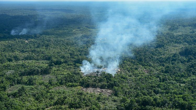 Die verheerenden Waldbrände in Brasilien führen dazu, dass einige europäische Staaten ein Freihandelsabkommen mit den Mercosur-Staaten blockieren wollen.