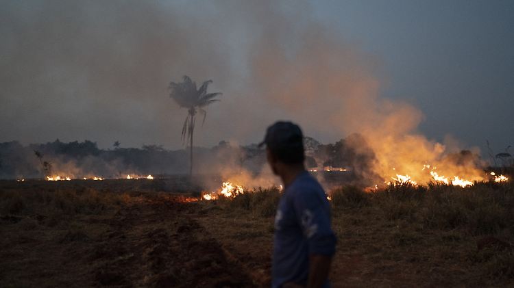 In Brasilien sollen bereits mehr als 70.000 Brände registriert worden sein. Besonders betroffen ist die Amazonasregion.