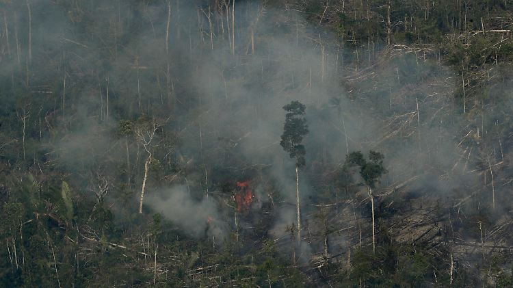 Rauch und Feuer über dem Amazonas.