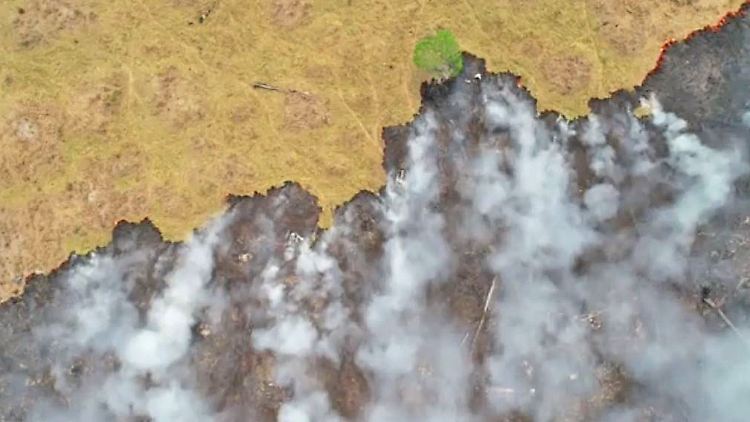 Waldbrand Brasilien.JPG