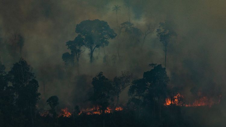 Mehr als 70.000 Brände wüten derzeit in Brasilien - ein Großteil davon im Regenwald des Amazonasbeckens.