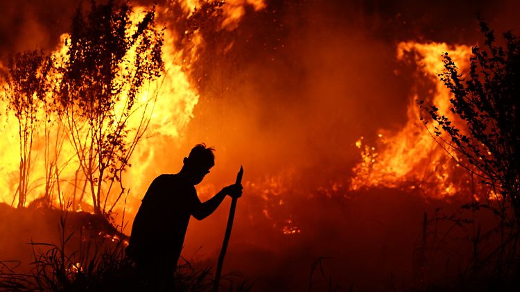 Indonesien hat 6000 Helfer in den Einsatz gegen schwere Waldbrände geschickt, die auf den Inseln Sumatra und Borneo wüten.