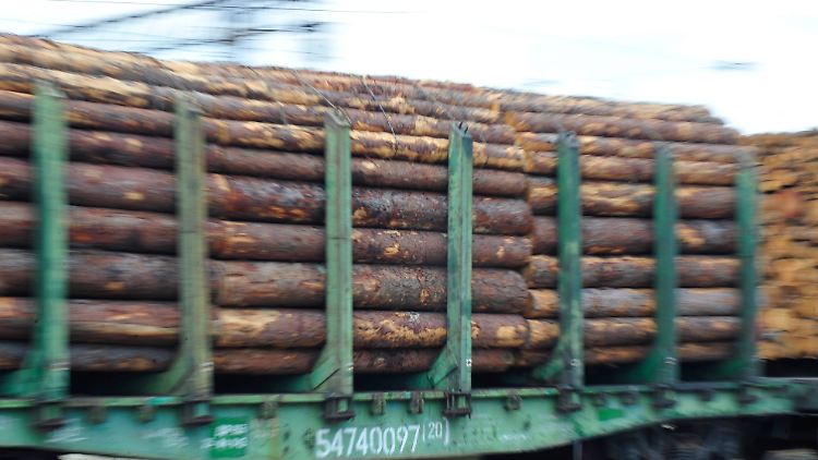 Güterzug außer Kontrolle: Rund 90 Kilometer legte der Zug mit defekten Bremsen über die bayerischen Schienenwege zurück. (Symbolbild)