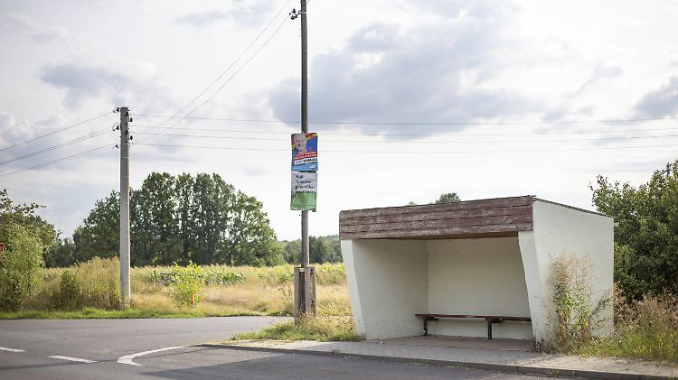 Grüne und AfD werden sowohl in Sachsen als auch in Brandenburg die Wahlgewinner sein.