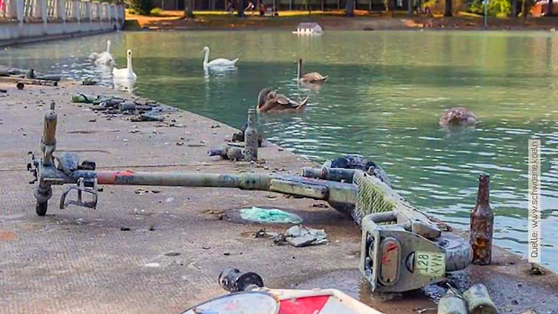 E-Scooter Chaos.JPG