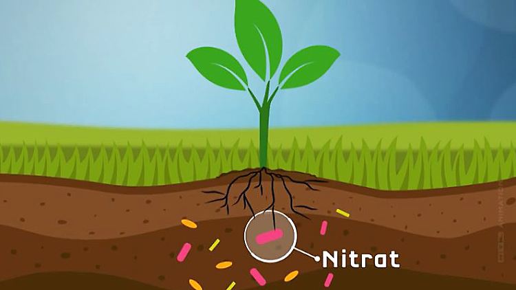 Nitrat EU Grundwasser.JPG