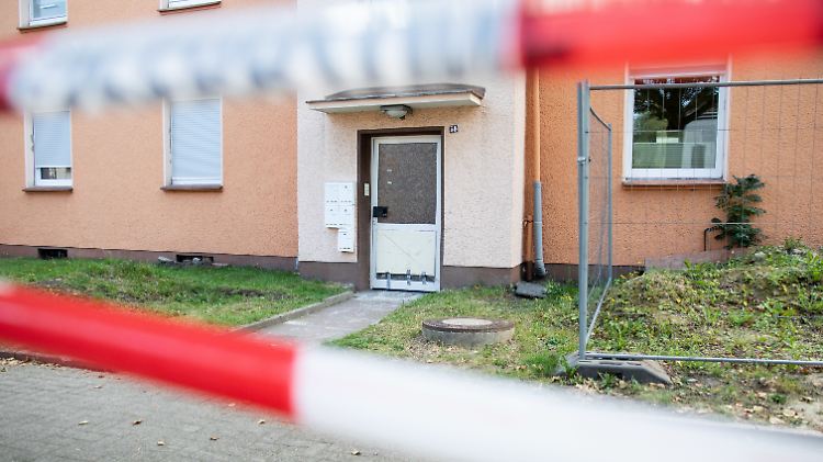 Die Stadt vermutet, dass das Tier aus der Wohnung eines Mieters stammt, in der dieser 20 Giftschlangen hielt.