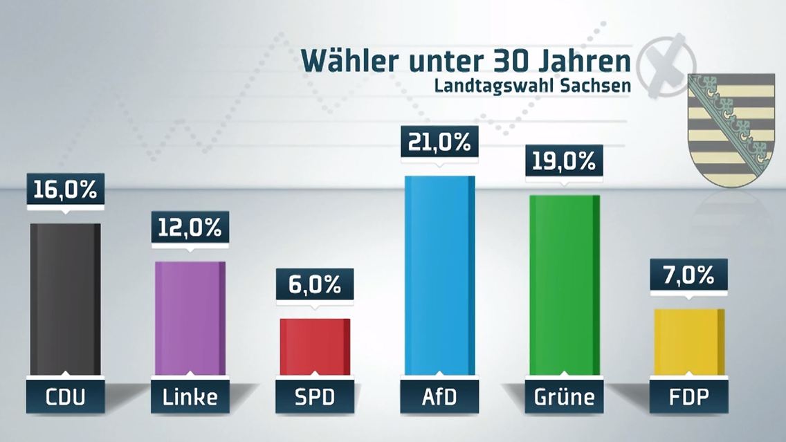 wählerprofil afd.JPG