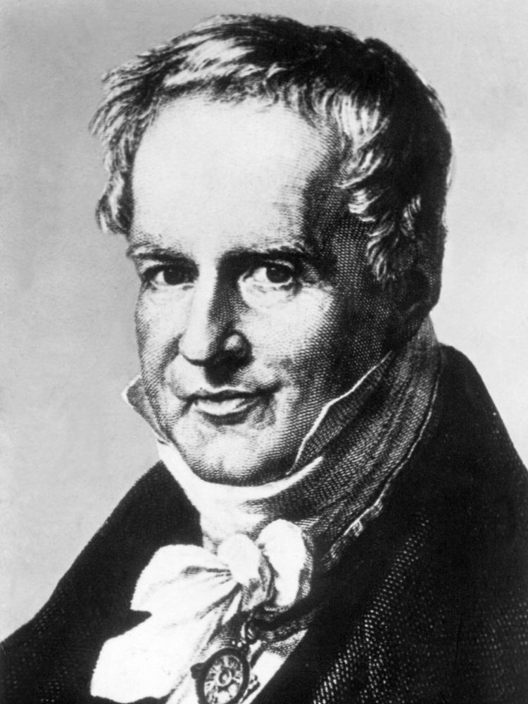 Humboldts visionärer Ansatz zum Verständnis der Natur beschäftigt die Autorin Wulf schon seit Jahren.