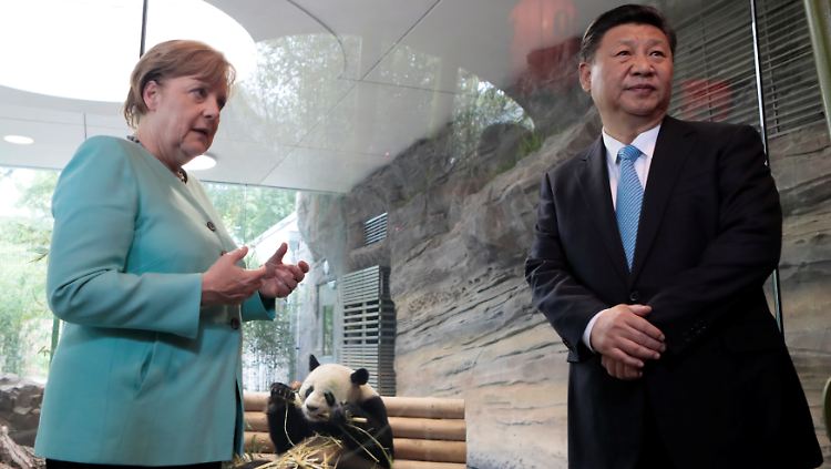 Bundeskanzlerin Merkel im Sommer 2017 mit Chinas Staatspräsident Xi Jinping bei der Eröffnung der Anlage für zwei Pandabären aus China.