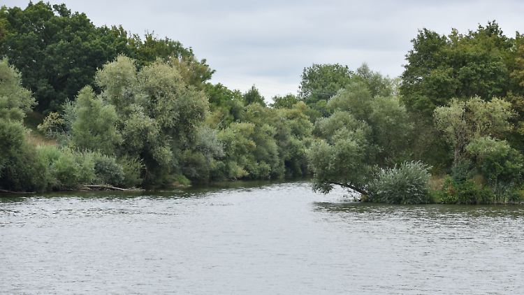 Der Neckar nach einem Chemieunfall im August 2016: Giftstoffe, die einmal im Umlauf sind, kommen nicht so schnell wieder heraus, mahnen die Grünen.