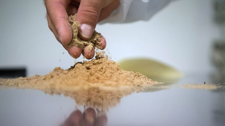 Gar nicht mehr so befremdlich: Zermahlene Insekten können Lebensmitteln beigemischt werden.