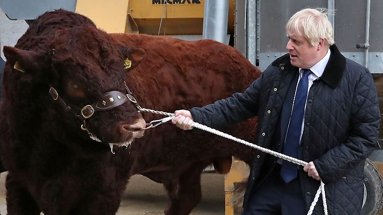Wer hat hier eigentlich wen im Griff? Der Premier das Parlament, oder andersrum? Johnson beim Besuch einer Farm nahe Aberdeen.