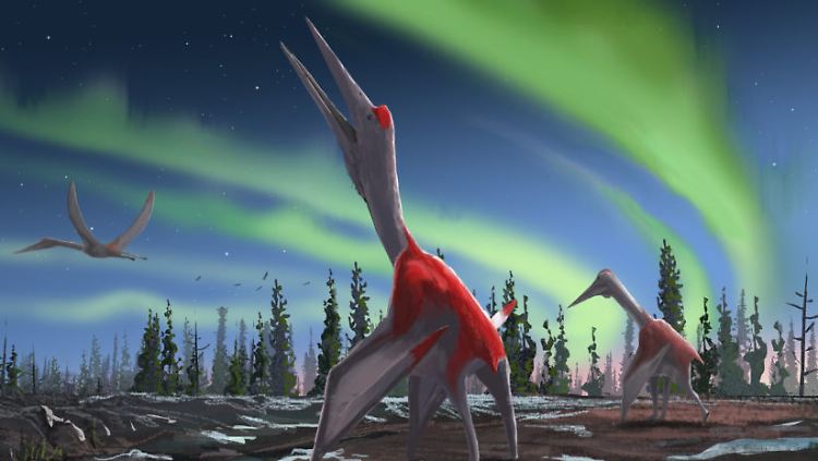 Wie ein riesiger Storch sah der "Cryodrakon Boreas" aus.