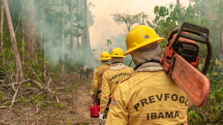 Nur sehr zögerlich nimmt Brasiliens Regierung den Kampf gegen die Brände auf.
