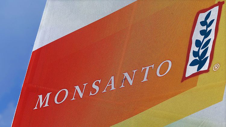 Die EU-Kommission hatte das Gen-Soja von Monsanto 2012 zugelassen, dagegen hatten die NGOs geklagt.
