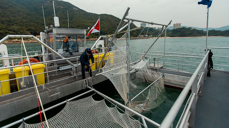 Die erste "Seekuh" des Vereins arbeitet noch mit Netzen, die den Plastikmüll aus dem Wasser fischen.