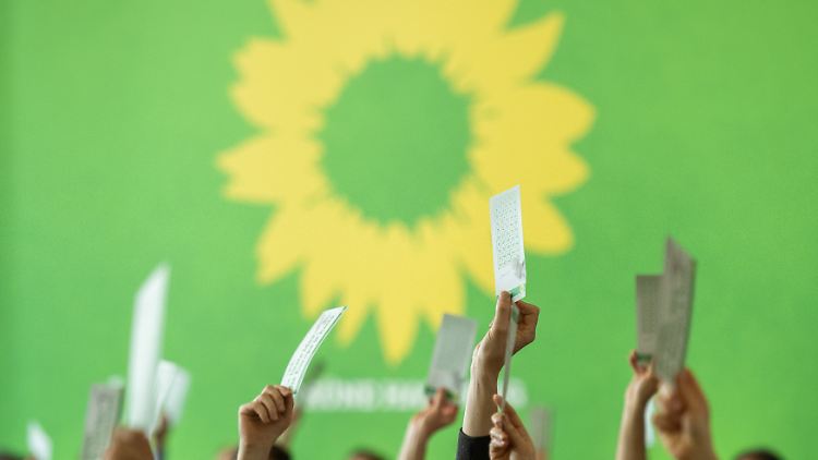 Die Grünen haben in den vergangenen Jahren mehrmals grundsätzlich beschlossen, nicht mit der AfD zusammenzuarbeiten.
