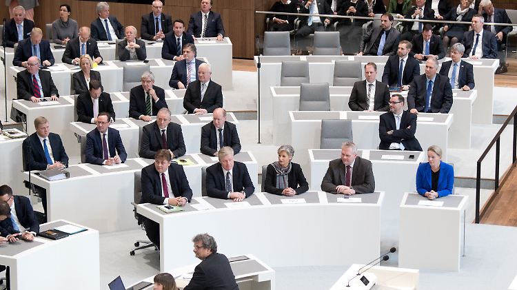 Die AfD-Fraktion im niedersächsischen Landtag wird durchleuchtet, ob sie sich radikalisiert hat.