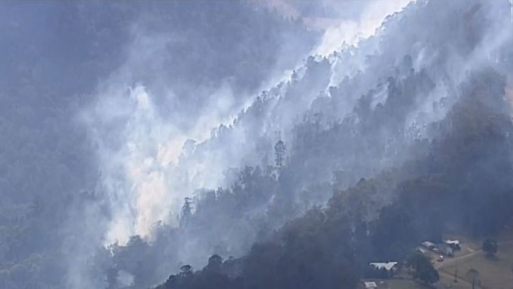 waldbrand australien.JPG