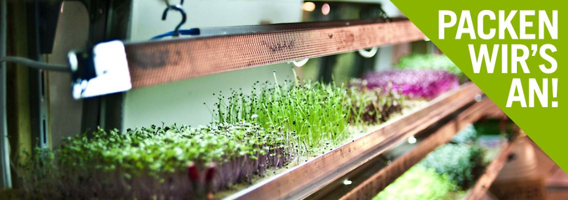 Labor oder Supermarkt?