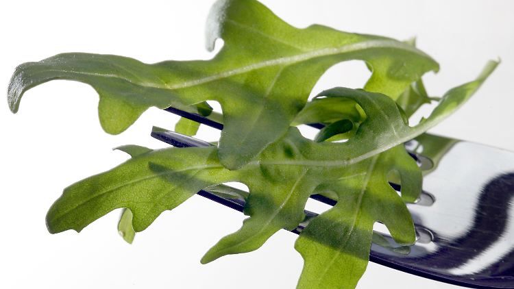 Darf's ein bisschen weniger sein? Die Frankfurter Richter meinen, dass 1,5 Prozent Rucola den Geschmacksnerven der Kunden reichen.