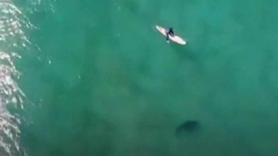 Hai Drohne Surfer.JPG