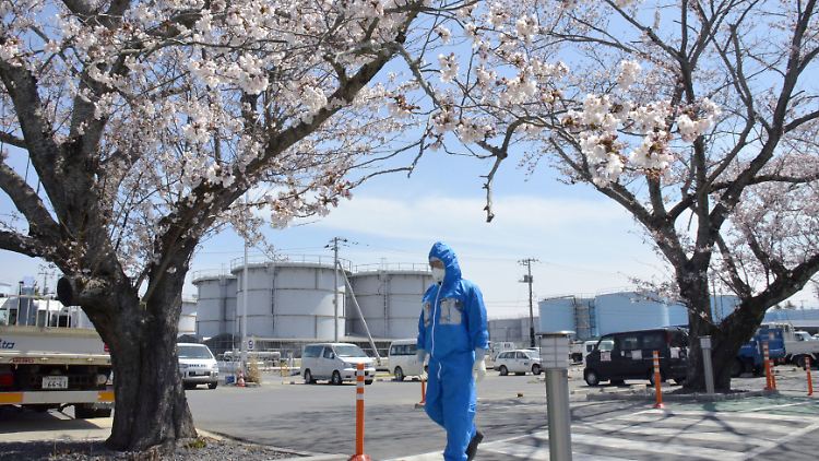 Der Atomunfall in Fukushima war der weltweit schwerste seit dem GAU in Tschernobyl 1986.