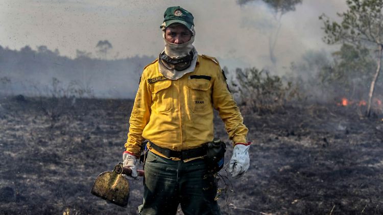 Die brasilianische Umweltbehörde IBAMA ist in Brasilien für die Bekämpfung illegaler Rodungen sowie die Kontrolle der Waldbrände zuständig.
