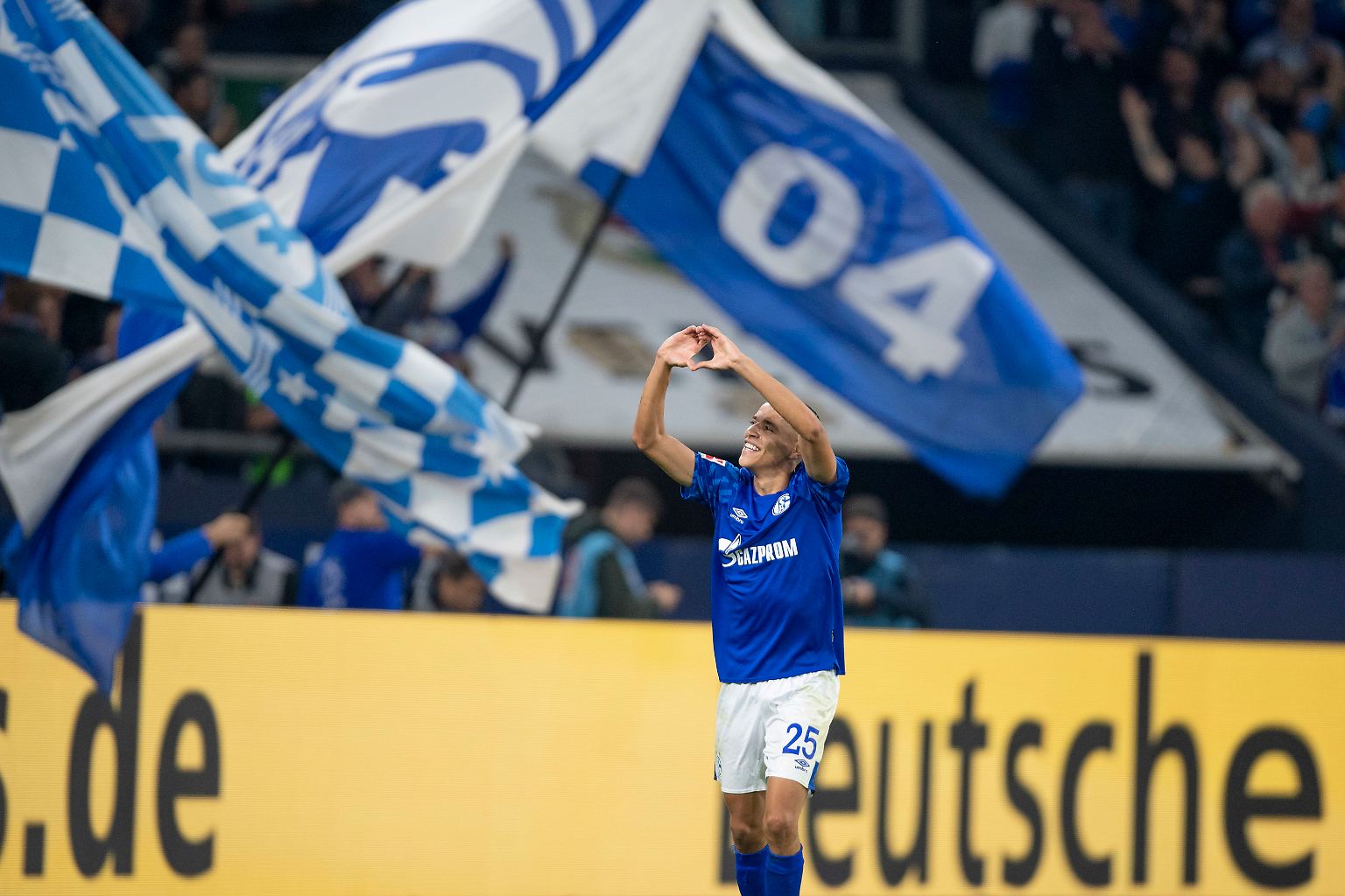 FC Schalke 04 - FSV Mainz 05 2:1 (1:0)
