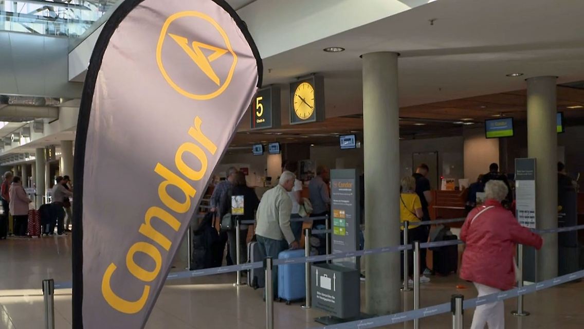 Condor.jpg
