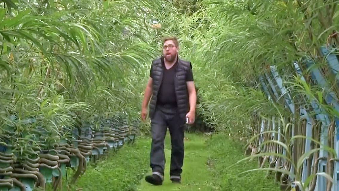 Möbel Bäume.JPG