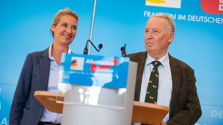 Haben allen Grund zur Freude: Alice Weidel und Alexander Gauland.