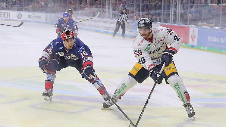 Die Eisbären aus Berlin (rechts) kamen in Mannheim ganz schön unter die Räder.