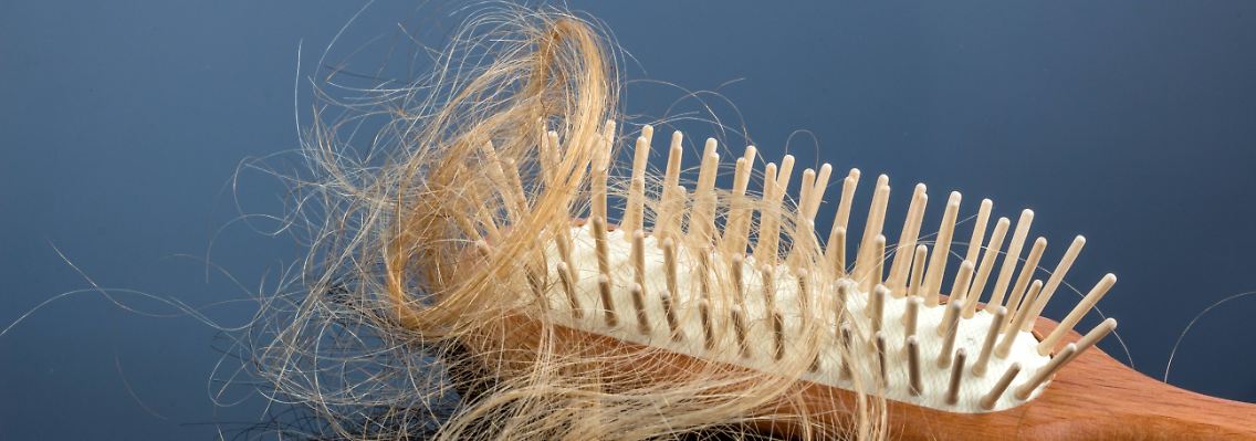 imago65776608h.jpg
